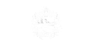 domain-caravans-logo