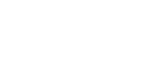 royal-flair-logo