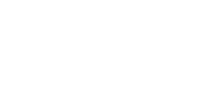 wallaroo-logo
